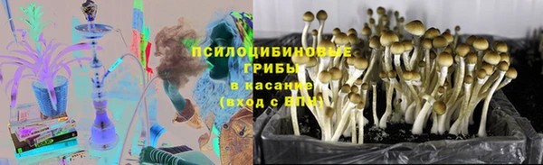 соль курить ск Няндома