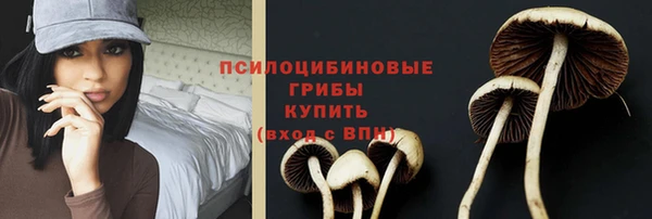 соль курить ск Няндома