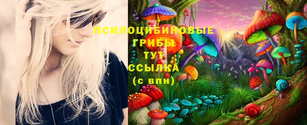 соль курить ск Няндома
