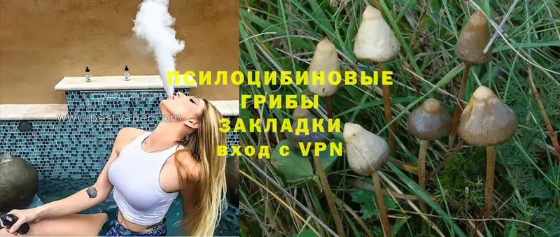 даркнет сайт  Иннополис  кракен ТОР  Псилоцибиновые грибы Psilocybine cubensis 